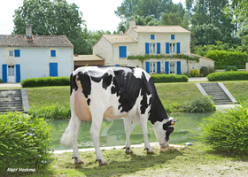 JITSY TB 86, 2ème Mère JITSY TB 86, 2ème Mère