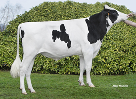 Rasta P - R414 FR 8940669239
Pere: Adlon P
Prop: Genes Diffusion, 59. Douai (Fr.)
Photo: Douai - 9 Mars 2021 - M2103014