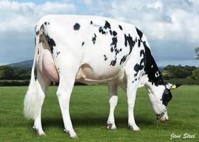 Longmoor DKR Ilary P TB 87 - Fille de SUPERSHOT Longmoor DKR Ilary P TB 87 - Fille de SUPERSHOT