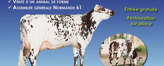 affiche journee normande 2017