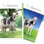 Les catalogues des races Holstein et Normandes
