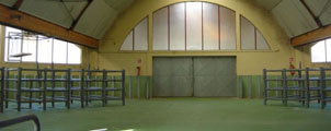 Les box d'attente de la taurellerie
