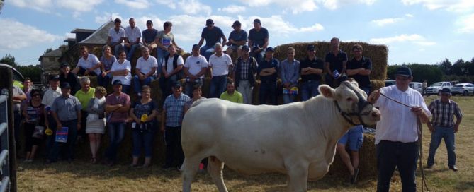 KODAK Digital Still Camera, vache charolaise, présentée lors de la vente aux enchères