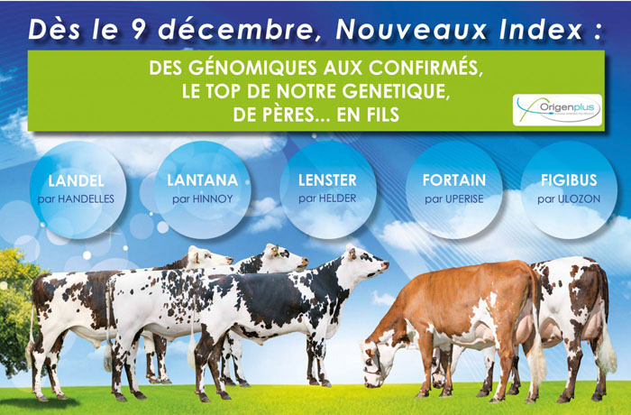 affiche des nouveaux index normand de décembre 2016