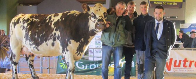Concours interdépartemental normande de la Saint Martin