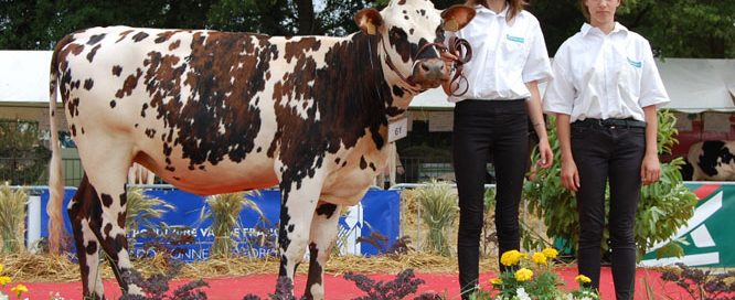 Podium 2017 du concours départemental de Bazoches Gouet