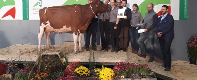 EPH Hawaï sur le podium de ferme en fête
