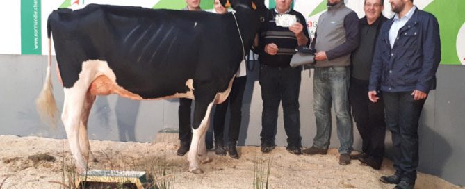EPH Java sur le podium de ferme en fête