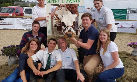 Equipe normande du comice d'Houville-en-Vexin 2017