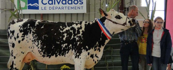 Jura, grande championne du concours départemental normand du Calvados
