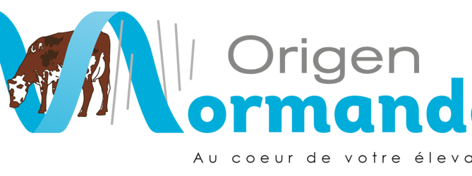 Logo Origen Normande
