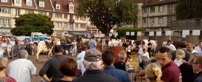Public du concours de Caudebec en Caux