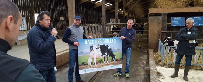 remise panneau ferme