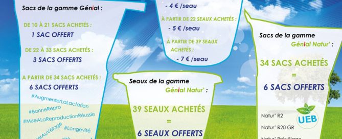 affiche des promotions sur les seaux et sacs Génial pour le début de l'année 2018