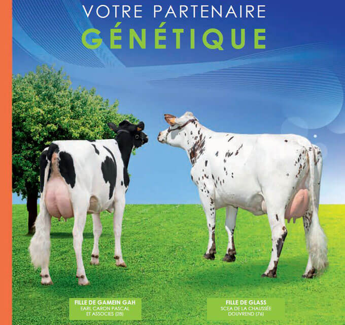 couverture des planches normandes et holstein suite à l'indexation de décembre 2017