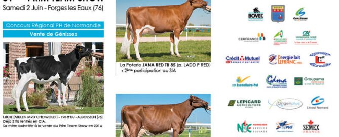 recto du flyer Prim'Team 2018