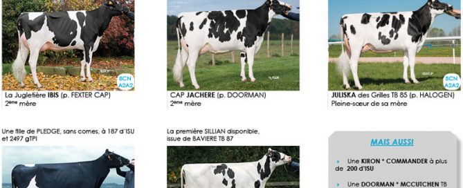 verso du flyer Prim'Team 2018