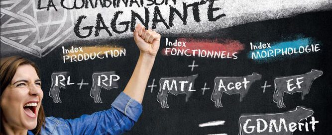 affiche "la combinaison gagnante" de Gènes Diffusion