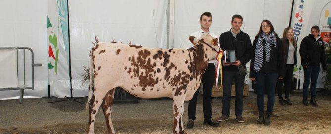 Quentin Maupas Champion du Challenge Jeune Présentateur et Norloge (Jobyjoba)