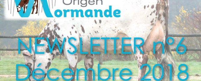 bandeau de la newsletter Origen Normande de décembre 2018