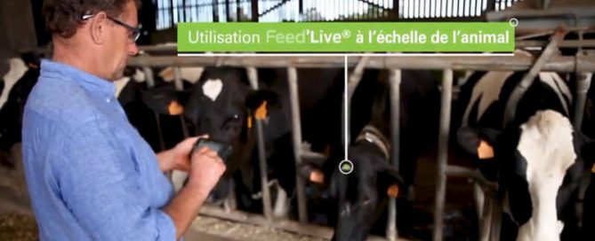 Un éleveur utilise le Feed'Live sur ses vaches laitières