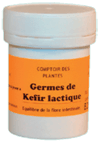 Pot de Kefir de lait