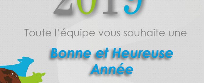 Toute l'équipe vous souhaite une bonne et heureuse année 2019