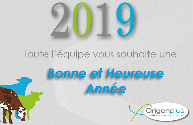 Toute l'équipe vous souhaite une bonne et heureuse année 2019