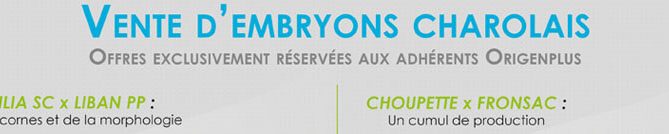 bandeau du flyer de la vente d'embryons charolais