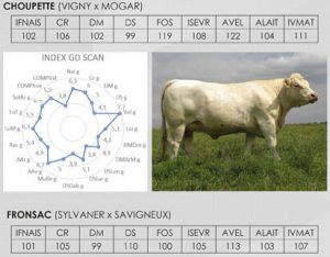 index de Choupette et Fronsac