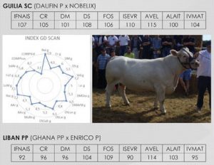 index de Guilia SC et Liban PP