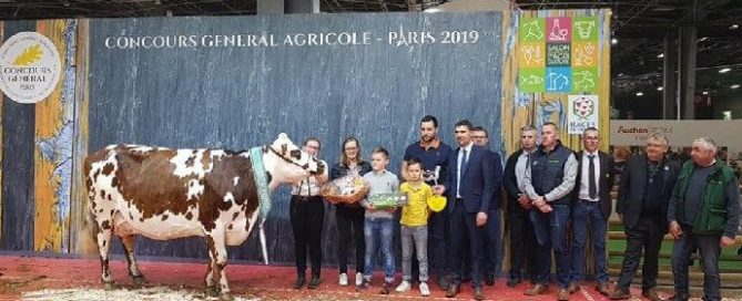 Hamilton (Arantilly x Expresso) sur le ring du CGA du SIA 2019