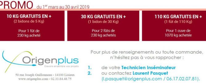 Bandeau de la promotion sur le Rumistart Green du printemps 2019