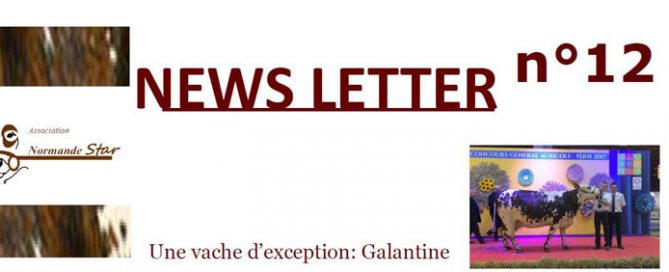 Bandeau de la newsletter n°12 de l'association Normande Star