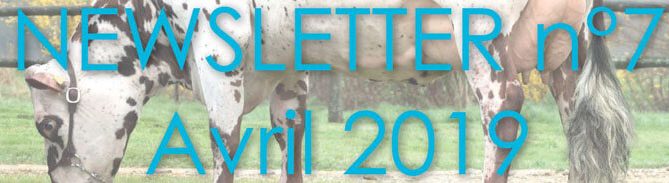 Bandeau de la Newsletter n°7 - Avril 2019
