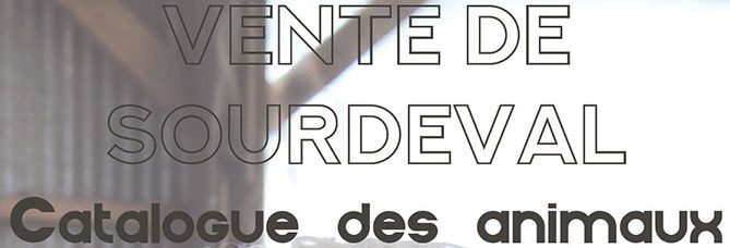 bandeau du catalogue de la vente de Sourdeval