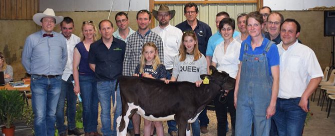 Un veau et les acteurs sur le ring de la vente de l'Orne 2019