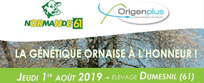 bandeau de la couverture du catalogue de la journée normande du 1er Août 2019