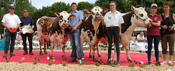 L'EARL Gueret a remporté le prix d'élevage du concours Normand lors du concours départemental de l’Eure et Loir 2019