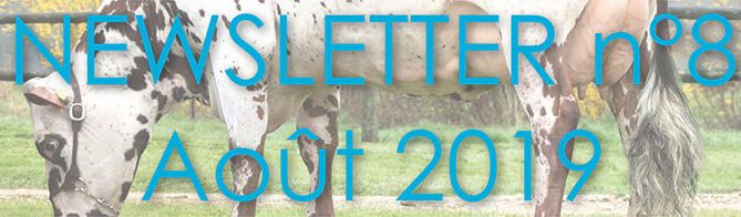 Bandeau de la Newsletter n°8 d'Origen Normande - Août 2019