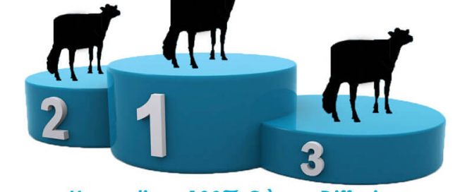 Un podium avec les taureaux Holstein de Gènes Diffusion