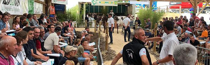 le public lors de la vente de l'Orne Normandu du 1er août 2019