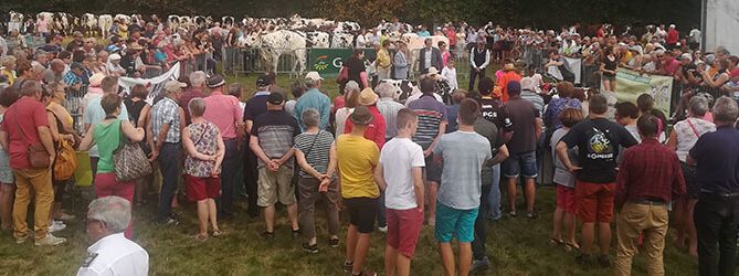 Le public autour du ring lors du comice de Domfront
