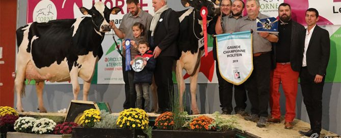 Livigne 2C, grande championne du concours régional Prim'Holstein de Ferme en Fête 2019 et Hosette, la grande championne réserve