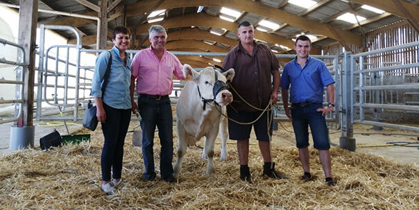 Ori (Jubilo P x Viking PP), une génisse charolaise entourée de ses nouveaux propriétaires