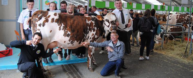 bandeau du concours normand du sommet de l'élevage : les éleveurs ornais autour de MEGAINE (Jefroid x Bouclier), championne jeune