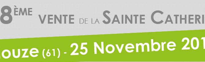 bandeau de la page de couverture du catalogue de la vente de Briouze 2019