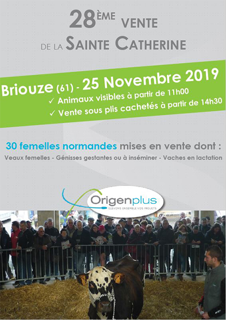 page de couverture du catalogue de la 28ème vente de la sainte Catherine à Briouze