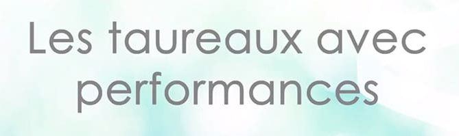 Capture de notre vidéo sur nos taureaux avec performances