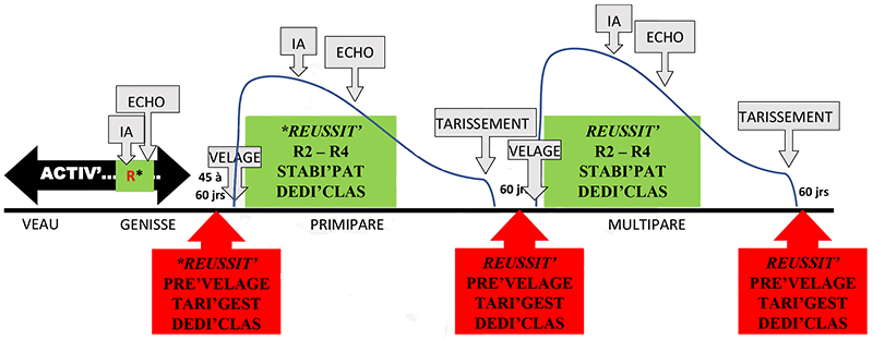 Bandeau du schéma du programme GENiAL d'Origenplus